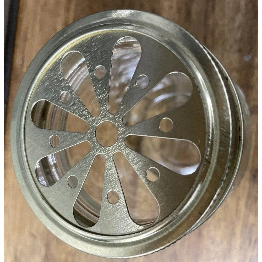 Small Mason Jar With Fruit Decor And Daisy Cut Copper Lid